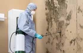 Best Attic Mold Removal  in Sophia, WV